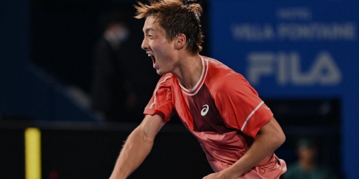 Wild Card Shintaro Mochizuki Stuns Top Seed Taylor Fritz at Japan Open - 'I'm in Disbelief'